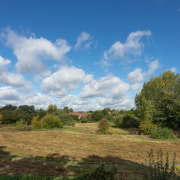 tollsmeadow